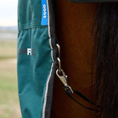 WeatherBeeta ComFiTec Classic Turnout Combo 220g Forest Green/Black WeatherBeeta ComFiTec Classic Turnout Combo 220g Forest Green/Black