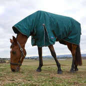 WeatherBeeta ComFiTec Classic Turnout Combo 50g Forest Green/Black WeatherBeeta ComFiTec Classic Turnout Combo 50g Forest Green/Black