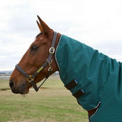 WeatherBeeta ComFiTec Classic Turnout Combo 220g Forest Green/Black WeatherBeeta ComFiTec Classic Turnout Combo 220g Forest Green/Black