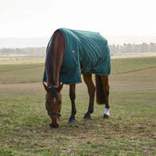 WeatherBeeta ComFiTec Classic Turnout 220g Forest Green/Black WeatherBeeta ComFiTec Classic Turnout 220g Forest Green/Black