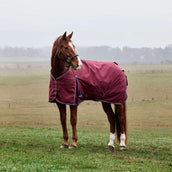 WeatherBeeta ComFiTec Prelim Turnout 220g Bourgogne/Marine WeatherBeeta ComFiTec Prelim Turnout 220g Bourgogne/Marine