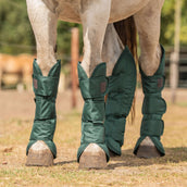 Agradi Horse Guêtres de Transport 1200D Vert Agradi Horse Guêtres de Transport 1200D Vert