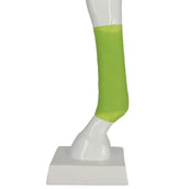 Kerbl Bandages Equilastic Auto-adhésif 4,5m Vert Kerbl Bandages Equilastic Auto-adhésif 4,5m Vert