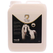 Excellent Spray Hi Gloss Excellent Spray Hi Gloss