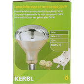 Kerbl Kerbl Lampe infrarouge en verre Kerbl Kerbl Lampe infrarouge en verre