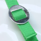 HKM Licol Stars Economy Vert clair HKM Licol Stars Economy Vert clair