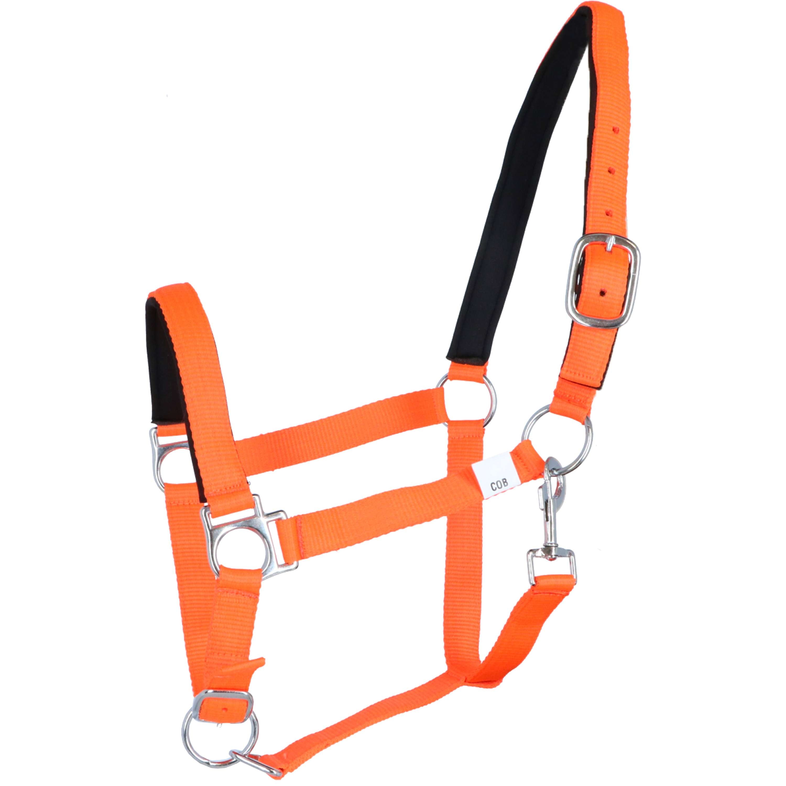Licol HKM Stars Economy Softice – Rembourré, Réglable, Ferrures Argent Licol HKM Stars Economy Softice – Rembourré, Réglable, Ferrures Argent
