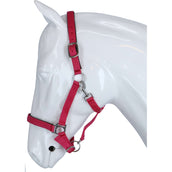 HKM Licol Stars Softice Rose HKM Licol Stars Softice Rose