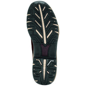 Ariat Chaussures Tout Terrain H2O Zip Ladies Distressed Brown Ariat Chaussures Tout Terrain H2O Zip Ladies Distressed Brown