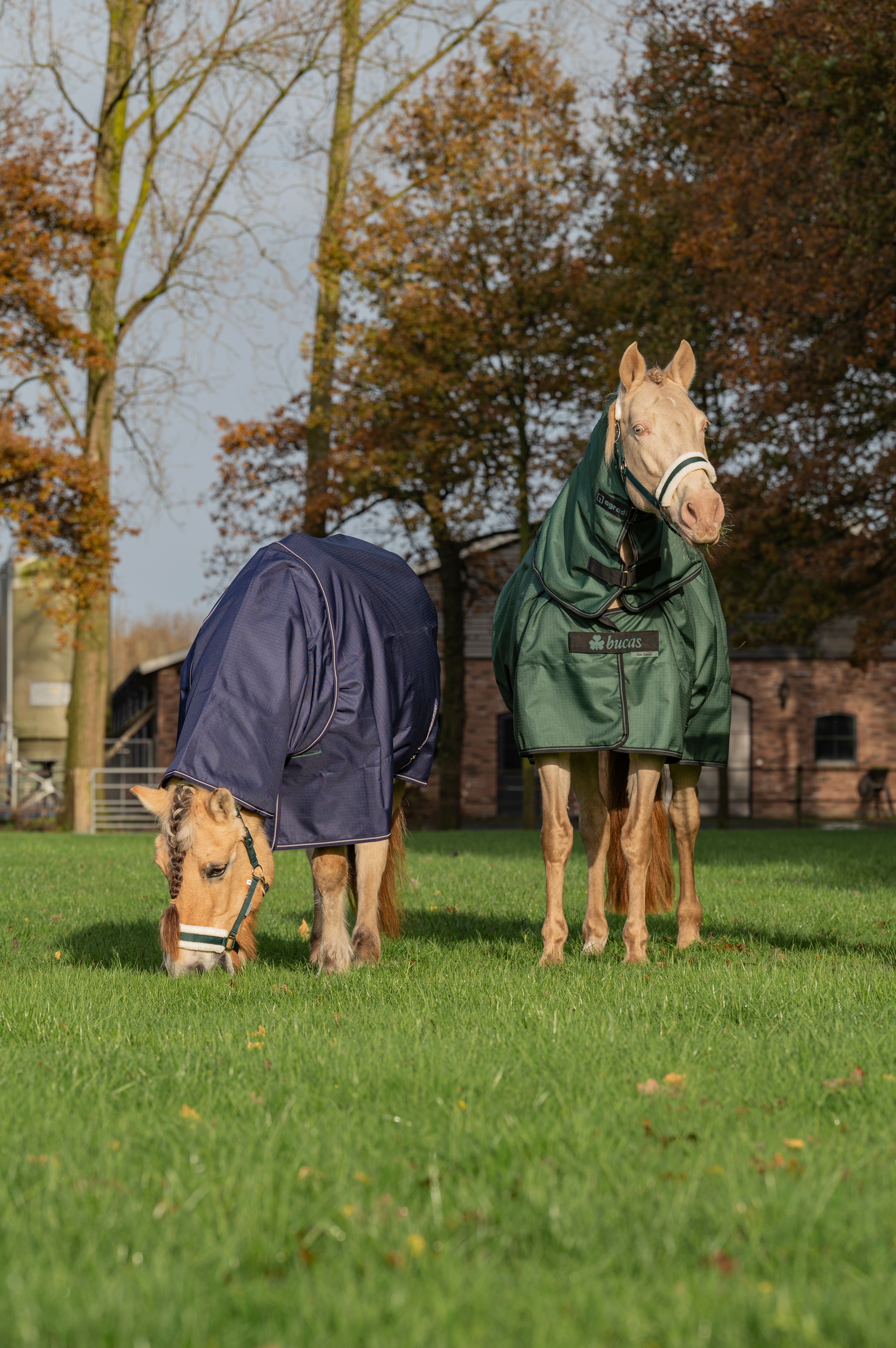 Couvertures Couvertures