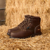 Ariat Chaussures d’extérieur Groundbreaker Lace Steel Toe Waterproof Hommes Marron foncé Ariat Chaussures d’extérieur Groundbreaker Lace Steel Toe Waterproof Hommes Marron foncé