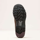 Ariat Chaussures d’extérieur Skyline Mid Waterproof Hommes Marron chocolat Ariat Chaussures d’extérieur Skyline Mid Waterproof Hommes Marron chocolat