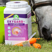 Audevard Ekygard Audevard Ekygard