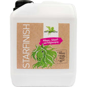 Bense & Eicke Spray Lustrant StarFinish Bense & Eicke Spray Lustrant StarFinish