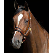 Back on Track Licol Werano Marron Back on Track Licol Werano Marron