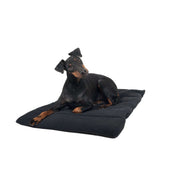 Back on Track Coussin pour Chien Noir Back on Track Coussin pour Chien Noir