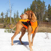 Back on Track Couverture pour Chien Eddie High Visibility Jumper Orange Back on Track Couverture pour Chien Eddie High Visibility Jumper Orange