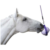 Likit Buster contre l'Ennui Likit Buster contre l'Ennui