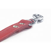 Beeztees Ipts Laisse Profitez Rouge Beeztees Ipts Laisse Profitez Rouge