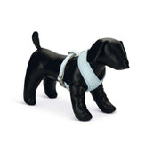 Beeztees Collier de Chasse Harno Puppy Bleu Beeztees Collier de Chasse Harno Puppy Bleu