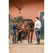 Bense & Eicke Déodorant pour Chevaux Bense & Eicke Déodorant pour Chevaux