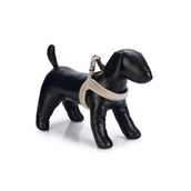 Designed by Lotte Harnais pour Chien Velura Velours Gris Designed by Lotte Harnais pour Chien Velura Velours Gris