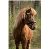 BR Bride Barnet Noir/Argent BR Bride Barnet Noir/Argent