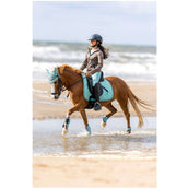 BR Protège-Boulets Eevolv Elay Canton BR Protège-Boulets Eevolv Elay Canton