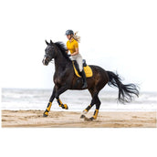 BR Cloches d'Obstacles Edgar No-Turn Harvest Gold BR Cloches d'Obstacles Edgar No-Turn Harvest Gold