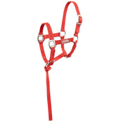 Premiere Ensemble Poulain Halser Brisk Avec Mini Ligne Pompeian Red Premiere Ensemble Poulain Halser Brisk Avec Mini Ligne Pompeian Red