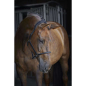 Catago Licol en Cuir Noir Catago Licol en Cuir Noir