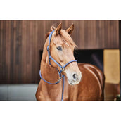 Catago Licol en Cuir Marin Catago Licol en Cuir Marin