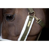 Catago Licol Bea Kangourou Catago Licol Bea Kangourou