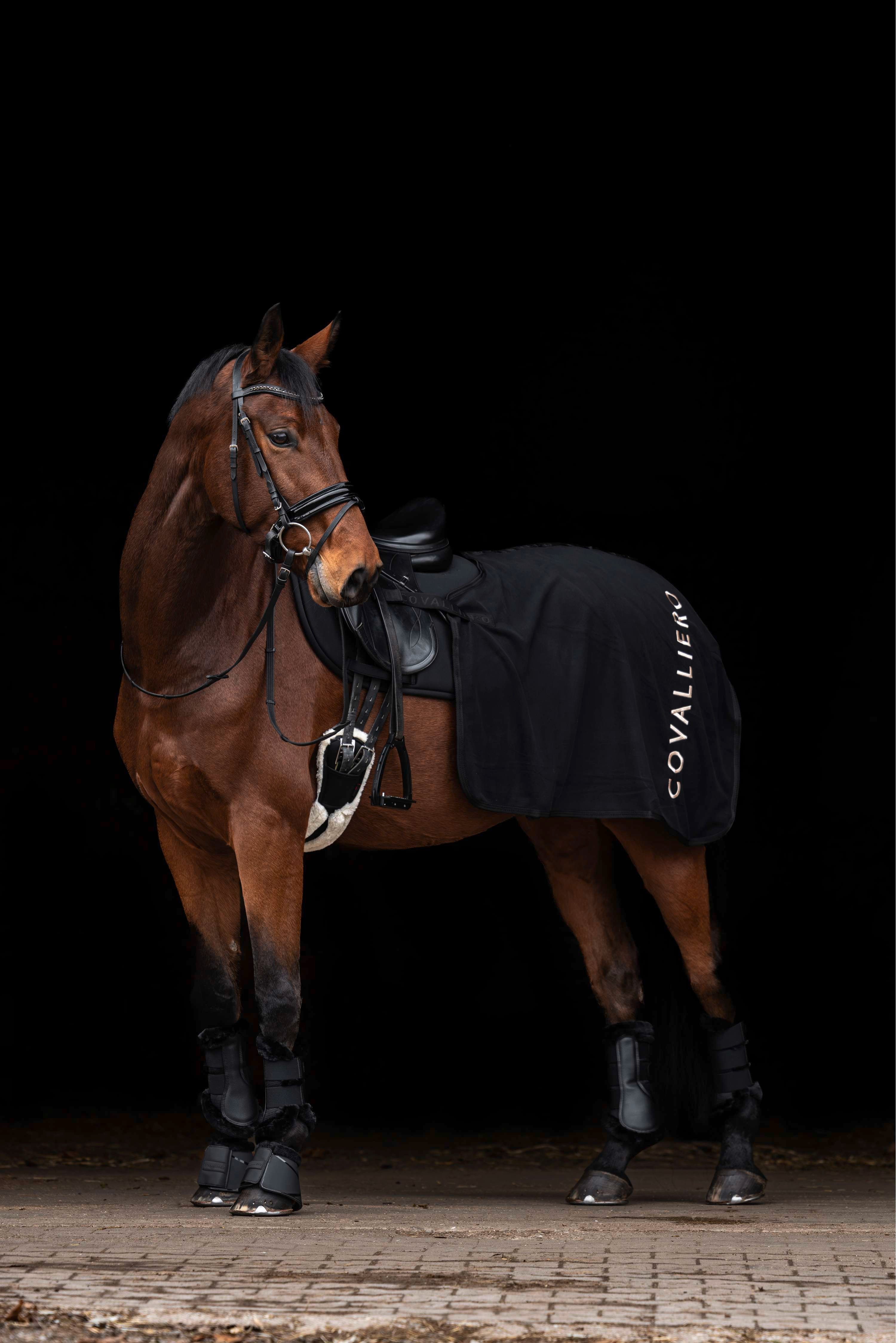 BR rijhelm Theta Radiant | CW Saddles | N°1 Kwaliteit