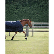 Dominick Couverture d'Extérieur Turnout Lite 0g 0g Marine/Blanc Dominick Couverture d'Extérieur Turnout Lite 0g 0g Marine/Blanc