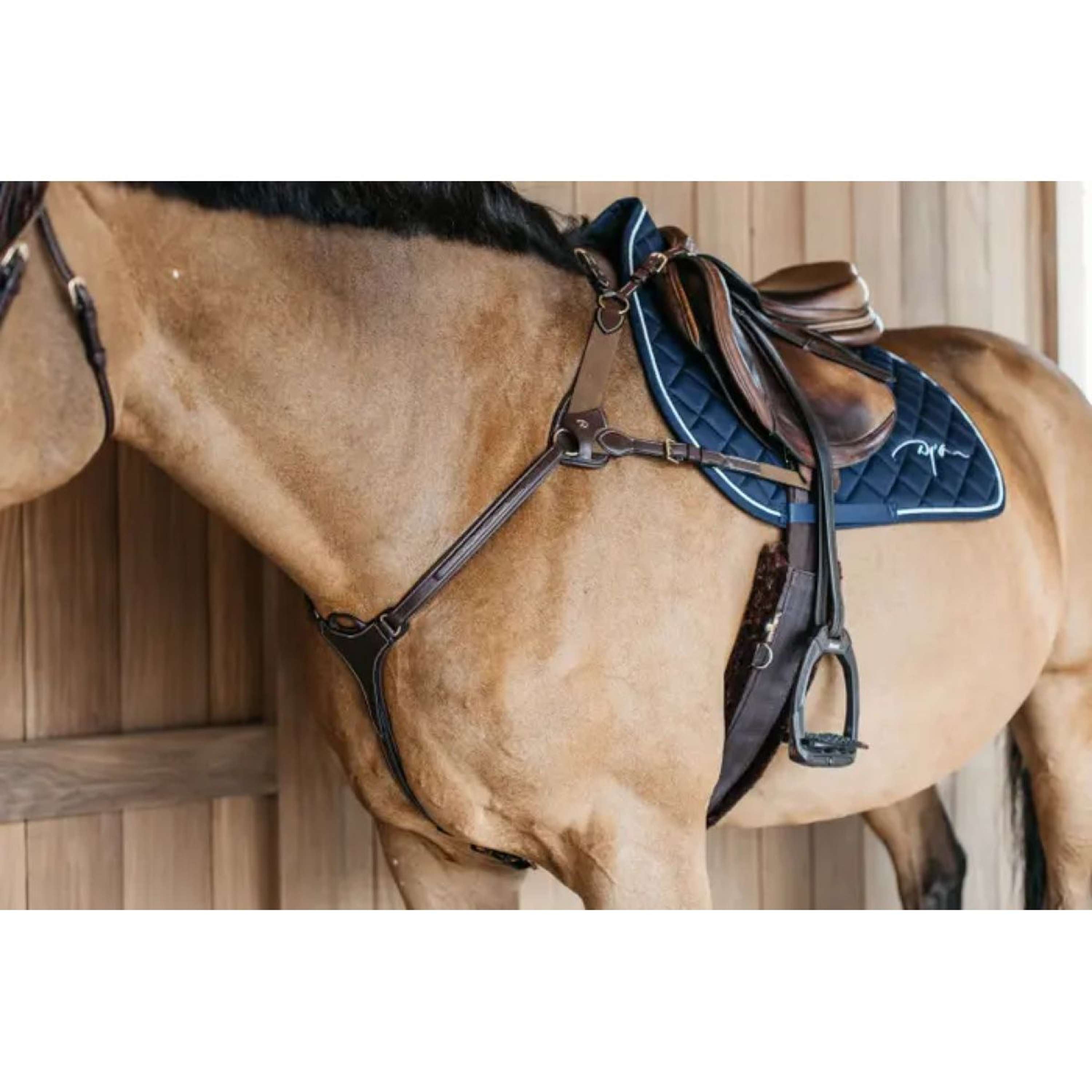 Achetez Collier de chasse de cuir occidental Achetez Collier de chasse de cuir occidental