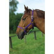 Norton Licol Nylon avec Doublure en Cuir Violet Norton Licol Nylon avec Doublure en Cuir Violet