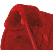 Riding World Sous-Bande Rouge Riding World Sous-Bande Rouge