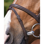 Riding World Bride avec Muserolle Combinée Havane Riding World Bride avec Muserolle Combinée Havane