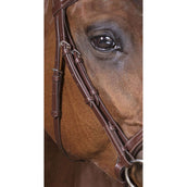 Norton Bride Pro Vague Havane Norton Bride Pro Vague Havane