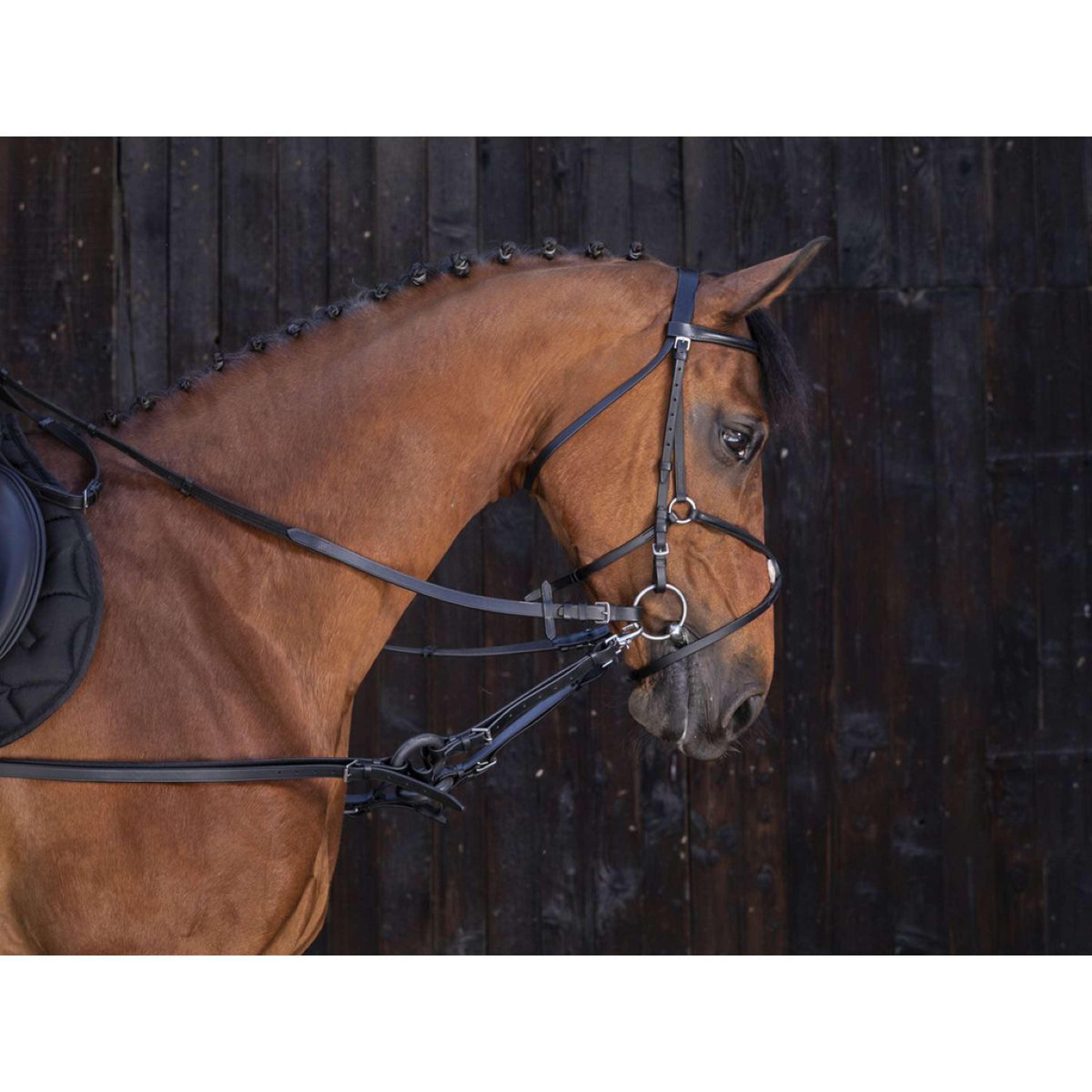Riding World Rênes Cuir Marron Riding World Rênes Cuir Marron