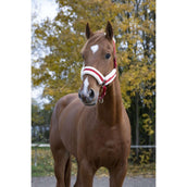 Norton Licol Confort Rouge Norton Licol Confort Rouge