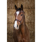 Norton Bride Pro Miss Havane Norton Bride Pro Miss Havane