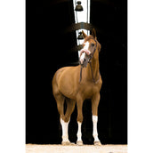 EQUITHÈME Fourreau Muserolle Teddy Or Rose EQUITHÈME Fourreau Muserolle Teddy Or Rose