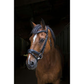 Eric Thomas Bride Pro Design Noir Eric Thomas Bride Pro Design Noir