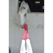 EQUITHÈME Chaussettes Résille Fuchsia EQUITHÈME Chaussettes Résille Fuchsia