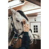 Borstiq Brosse Tête Borstiq Brosse Tête