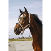 EQUITHÈME Licol Jacquard Taupe EQUITHÈME Licol Jacquard Taupe