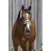 Riding World Licol Synthetic Fur Noir Riding World Licol Synthetic Fur Noir