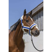 Norton Licol Cosy Bleu Royal Norton Licol Cosy Bleu Royal